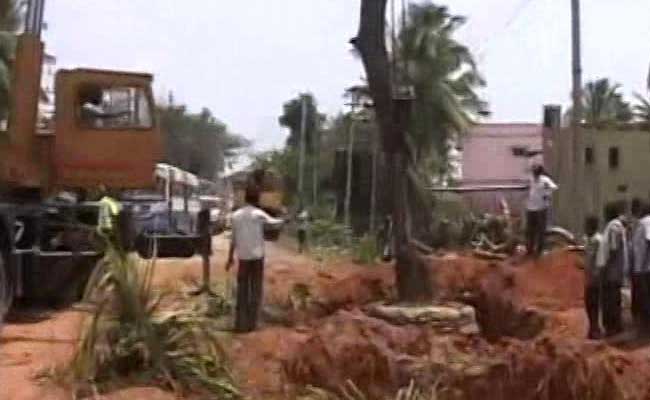 Trees Were Being Uprooted In Garden City. Bengaluru Turned To Crowd Funding