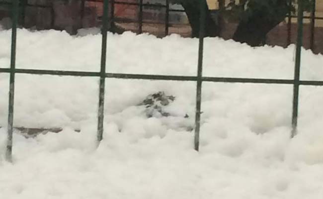 'Happens Every Year,' Says Chief Minister Siddaramaiah As Bengaluru Lake Shoots Toxic Foam