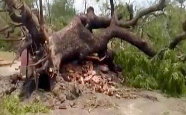 बिहार में आंधी-तूफान और वज्रपात की चपेट में आने से 23 लोगों की मौत