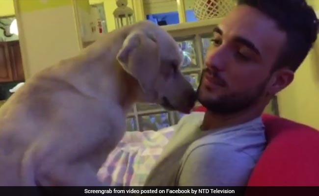 रूठे मालिक को मनाने के लिए कुत्ते ने की दिल छूने वाली हरकत, 2 दिन में 26 लाख बार देखा गया यह वीडियो