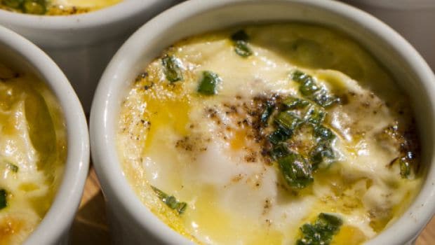 eggs