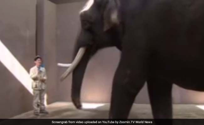 वैज्ञानिक का दावा ये हाथी बोलता है इंसानों की भाषा, आप भी देखें Video
