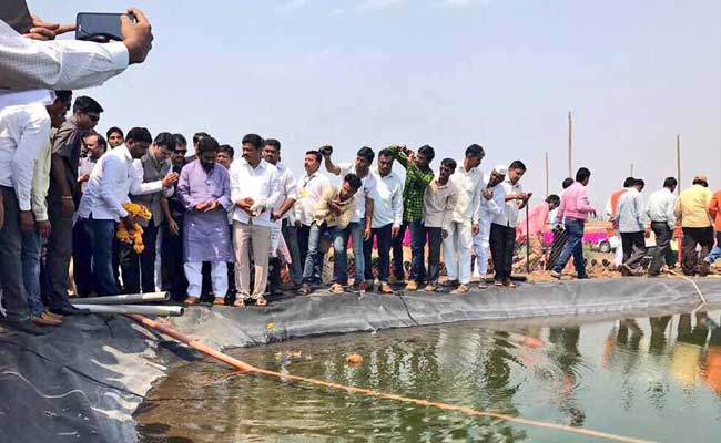 मुंबई : जलयुक्त शिवार में भ्रष्टाचार के शिवसेना के आरोप पर बीजेपी ने किया पलटवार