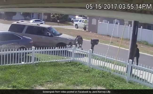 Out-Of-Control Car Sends Teen Flying. He Walks Away Unhurt. Video Is Viral