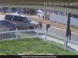 Out-Of-Control Car Sends Teen Flying. He Walks Away Unhurt. Video Is Viral Out-Of-Control Car Sends Teen Flying. He Walks Away Unhurt. Video Is Viral