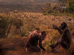 Fossils From Europe Cast Doubt On Human Lineage Originating In Africa Fossils From Europe Cast Doubt On Human Lineage Originating In Africa