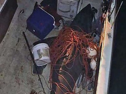 Great White Shark Jumps Into Boat, Sends Man Flying Into The Air Great White Shark Jumps Into Boat, Sends Man Flying Into The Air
