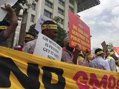 Activists Urge PM Narendra Modi To Reject Plea For Commercial Release Of GM Mustard