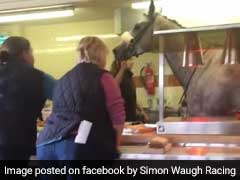 Racecourse Horse Breaks Free From Handler, Ends Up Inside A Cafe