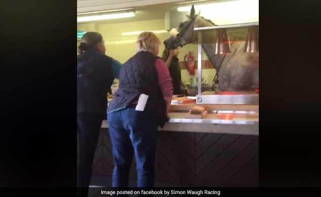 Racecourse Horse Breaks Free From Handler, Ends Up Inside A Cafe