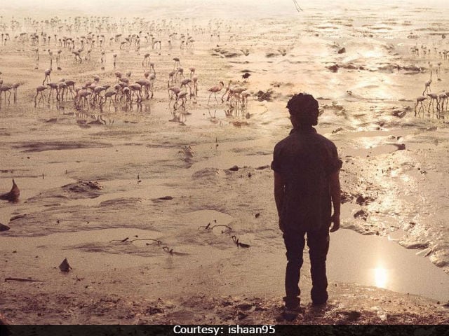 Majid Majidi Wraps The Shooting Of Beyond The Clouds