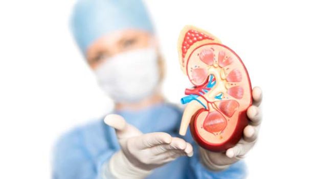 Kidney Health: स्वस्थ शरीर के लिए किडनी की हेल्थ है बेहद जरूरी, इस तरह रखें ख्याल