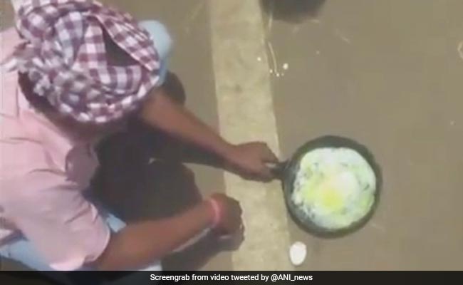 Man Cooks Egg On Road In Odisha's Intense Heat Wave