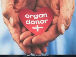 World Organ Donation Day 2024: Answer To Common Questions About Organ Donation From Expert World Organ Donation Day 2024: Answer To Common Questions About Organ Donation From Expert