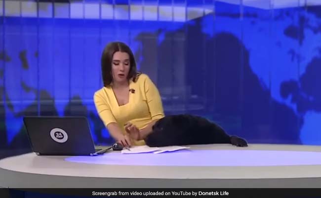 Video : एंकर पढ़ रही थी न्यूज, तभी स्टूडियो में घुस गया कुत्ता