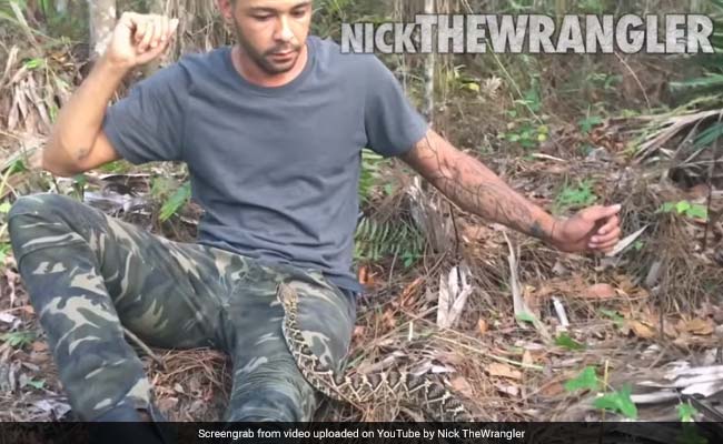 This Man's Terrifying Encounter With A Rattlesnake Gets  Million Views