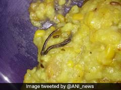 Raids In Government Schools After Snake Allegedly Found In Mid-Day Meal