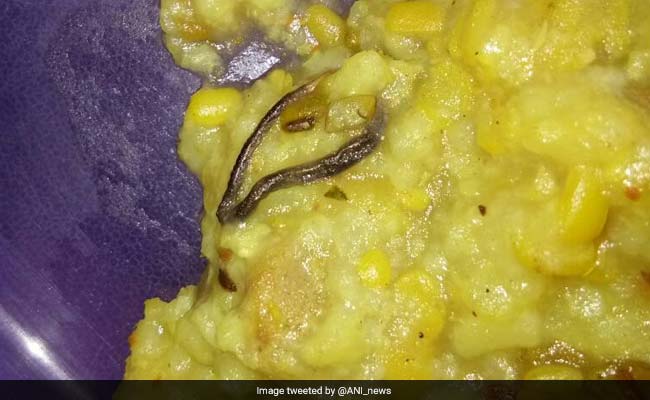 Raids In Government Schools After Snake Allegedly Found In Mid-Day Meal