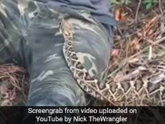 This Man's Terrifying Encounter With A Rattlesnake Gets 6.7 Million Views