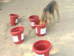 #PledgeABowl: Mumbai Group Starts Initiative To Serve Water To Strays #PledgeABowl: Mumbai Group Starts Initiative To Serve Water To Strays