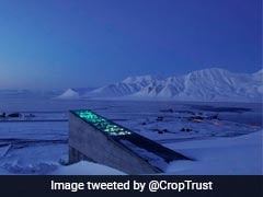 Don't Panic, Humanity's 'Doomsday' Seed Vault Is Probably Still Safe