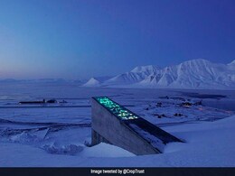Don't Panic, Humanity's 'Doomsday' Seed Vault Is Probably Still Safe Don't Panic, Humanity's 'Doomsday' Seed Vault Is Probably Still Safe