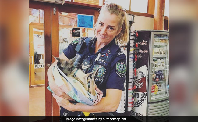 This Police Officer Has An Unlikely Sidekick - A Baby Kangaroo