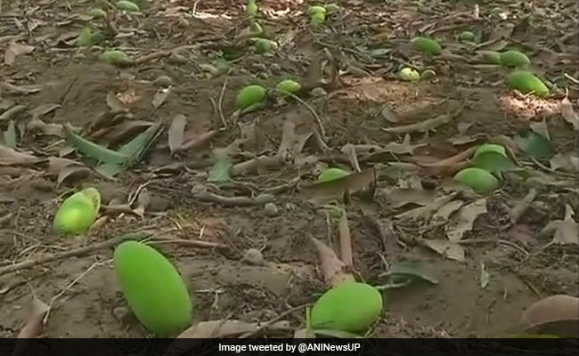 बिहार: आंधी-तूफान की तबाही के बाद गिरी आसमानी बिजली, महिला समेत 7 लोगों की मौत