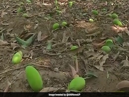 बिहार: आंधी-तूफान की तबाही के बाद गिरी आसमानी बिजली, महिला समेत 7 लोगों की मौत बिहार: आंधी-तूफान की तबाही के बाद गिरी आसमानी बिजली, महिला समेत 7 लोगों की मौत