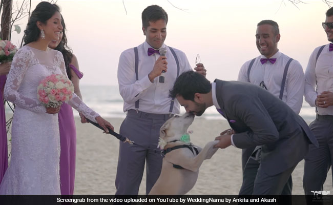 A Bride, A Groom And A Dog: This Wedding Is Truly Bow Wow