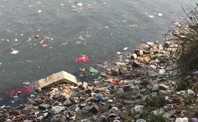 Green Court NGT Bans Open Defecation, Waste Dumping On Yamuna Floodplains