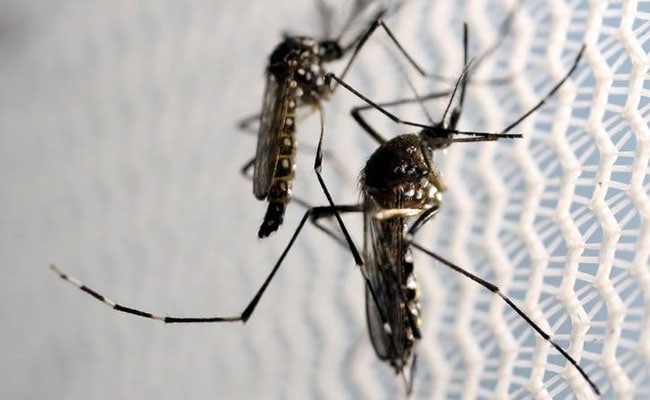 Gujarat Officials Knew Of First Zika Case For Months But Kept It Quiet