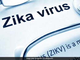 IIT Mandi Professor Identifies Crucial Regions Within The Protein Of Zika Virus IIT Mandi Professor Identifies Crucial Regions Within The Protein Of Zika Virus