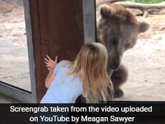 Watch: Grizzly Bear Plays Peek-A-Boo With Little Girl