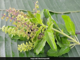 Beware of Food Poisoning This Monsoon: Tips to Cure Food Poisoning Naturally Beware of Food Poisoning This Monsoon: Tips to Cure Food Poisoning Naturally