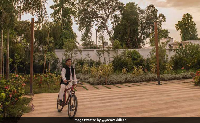 International Yoga Day 2017: Samajwadi Party Undertake 'Cycle Yatras'