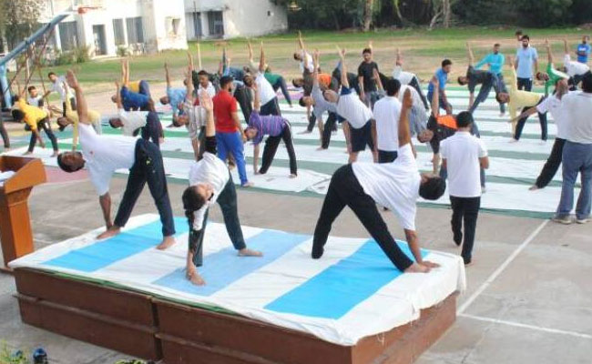 International Day of Yoga 2017: AMU's Department Of Physical Education Conducts Seven Day Yoga Workshop