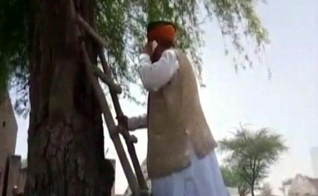 सिग्नल नहीं मिला तो पेड़ पर चढ़ गए मोदी सरकार के मंत्री, जानें फिर क्या हुआ
