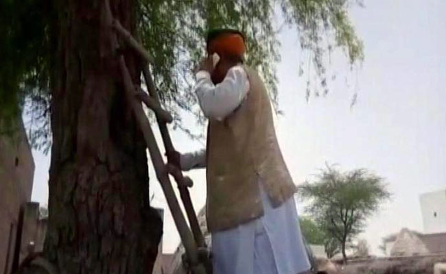 No Network So Minister Arjun Ram Meghwal Had To Climb Ladder And Tree To Make A Call