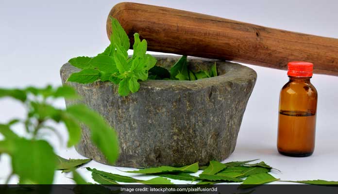 यूनानी डॉक्टर का बताया रामबाण नुस्खा, बुखार, पाचन और शुगर के लिए बेस्ट है चिरायता, जानें फायदे और खाने का तरीक