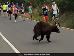 Teen Who Was Killed By Bear Texted Family While Under Attack Teen Who Was Killed By Bear Texted Family While Under Attack