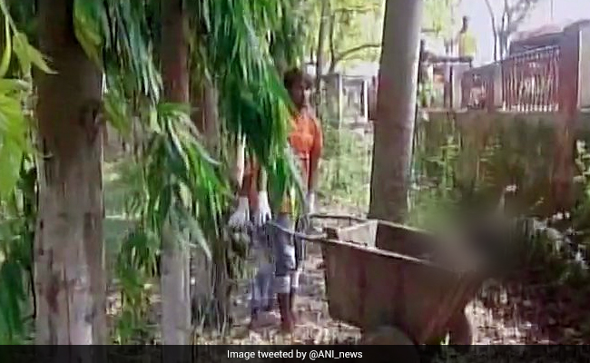 बिहार : पोस्टमार्टम के लिए कचरा गाड़ी में ले जाया गया महिला का शव, जांच के आदेश