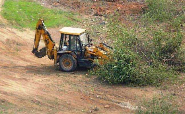 Bulldozers Raze Thousands Of Trees In Haryana, Activists Cry Foul