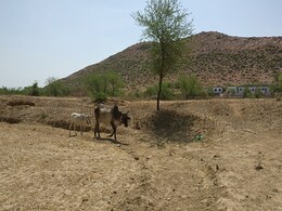 पैकेज की बंदरबांट:  2,100 करोड़ रुपये खर्च होने के बाद भी नहीं बदली बुंदेलखंड की सूरत पैकेज की बंदरबांट:  2,100 करोड़ रुपये खर्च होने के बाद भी नहीं बदली बुंदेलखंड की सूरत