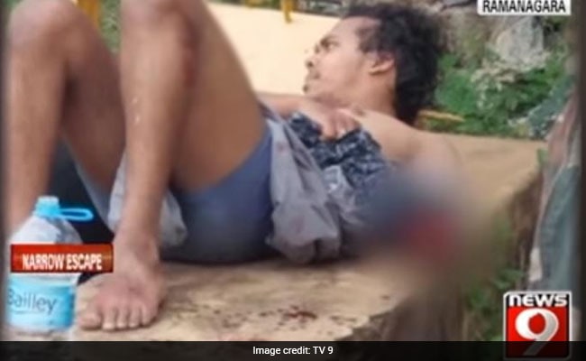 Bengaluru Start-Up CEO Loses Arm In Crocodile Attack, Now Faces A Penalty