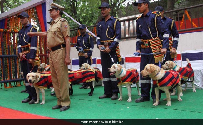 Guard Of Honour Welcomes Delhi Police's Dog Squad To Their New Home