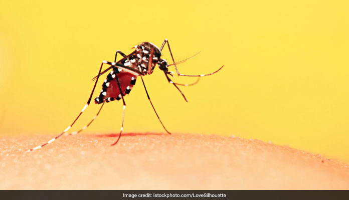 Dengue And Viral Fever Upsurge In Kerala