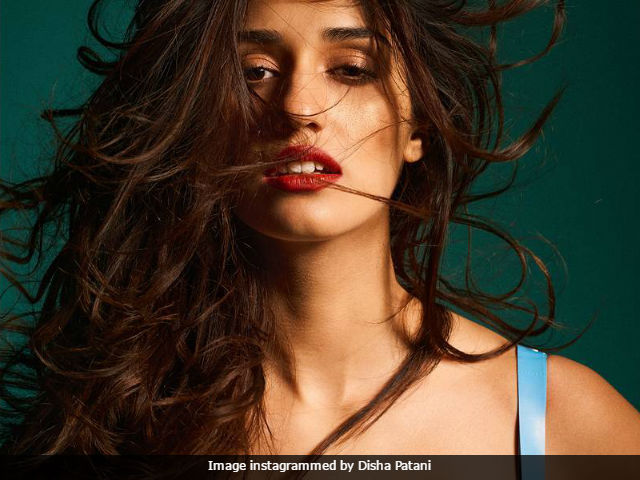 Trending: Disha Patani's Fabulous Photoshoot Is Winning The Internet In Style