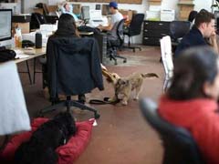 For Some Californians, It's Bring Your Dog To Work Day Every Day