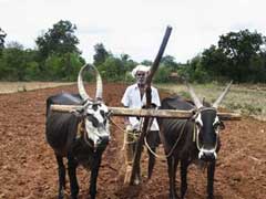 महाराष्ट्र में किसानों को 10 हजार रुपये की फौरी मदद, अमीर किसानों को कर्ज माफी नहीं